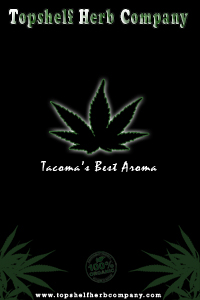 shirt back thumbnail